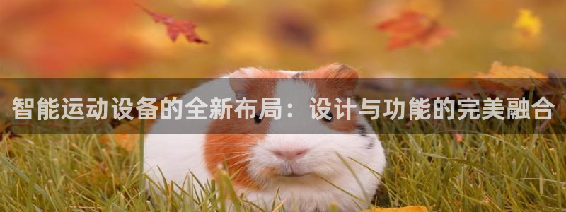 注册熊猫体育：智能运动设备的全新布局：设计与功能的完美融合